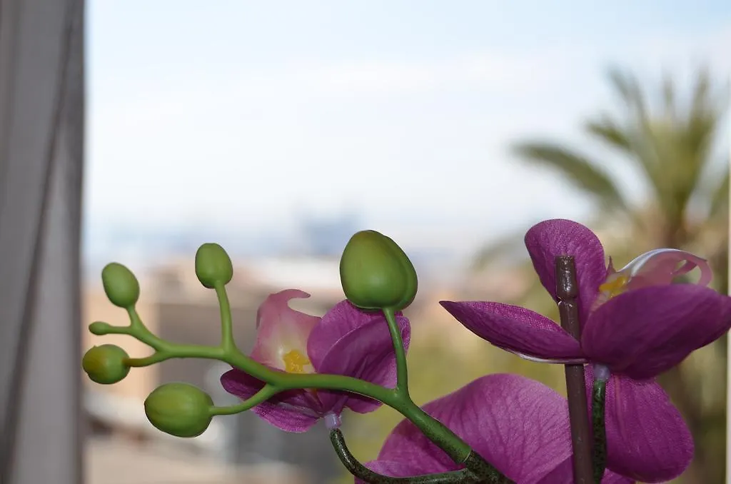 Apartsuits Tarragona Rambla Nova 24 Appartement